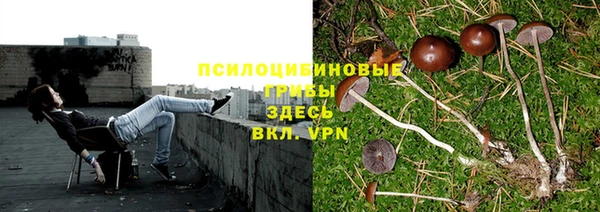 сатива Киренск