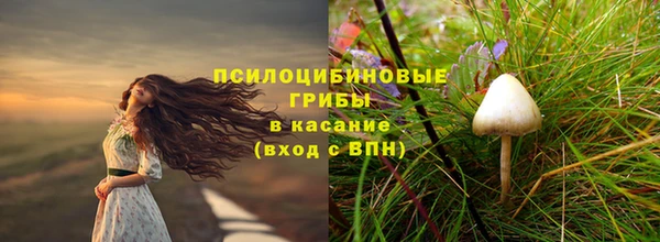 ПСИЛОЦИБИНОВЫЕ ГРИБЫ Семёнов